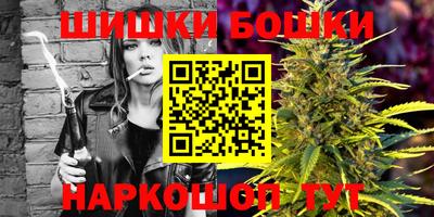 крисы Новокубанск