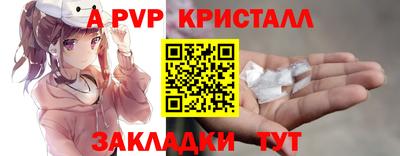 крисы Новокубанск