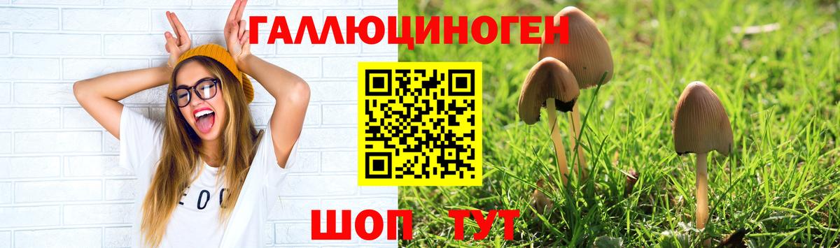 Галлюциногенные грибы Psilocybe  Вход с VPN  Псилоцибиновые грибы Psilocybine cubensis  закладка  Серпухов 